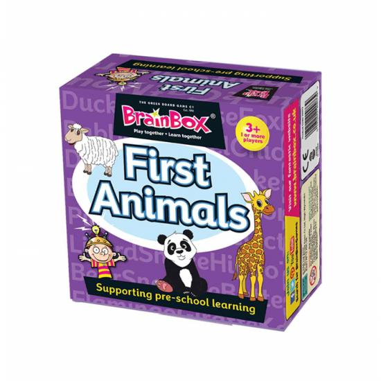 BrainBox İlk Hayvanlarım (First Animals) - İNGİLİZCE - FIRSAT ÜRÜNÜ (Kutu Hasarlı)