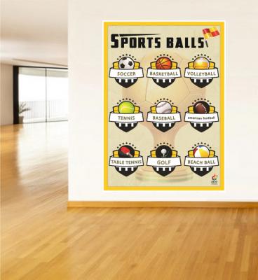Sports Balls Poster - Topla Oynanan Sporlar Posteri