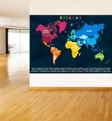 Renkli Kıtalar Haritası Poster ve Duvar Giydirme