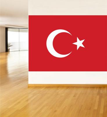 Türkiye Bayrağı Poster